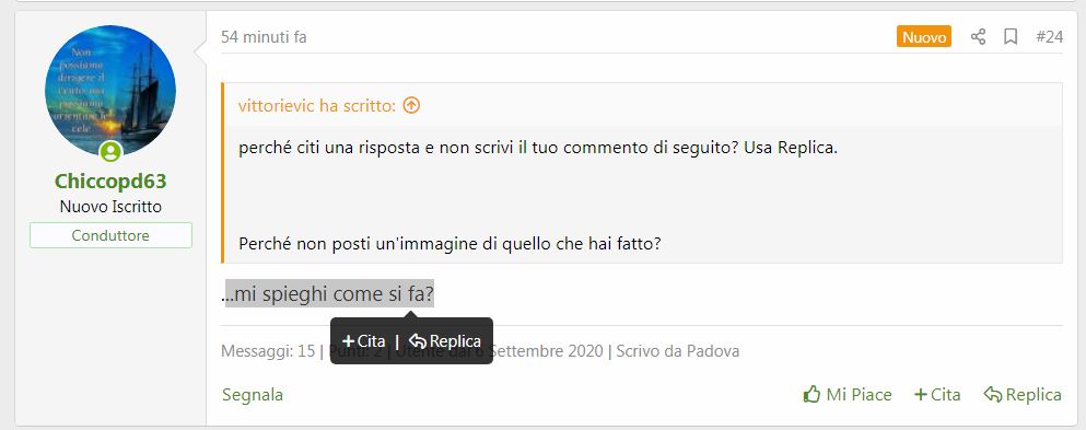 Spiegazione 1.JPG